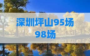 深圳坪山95场98场