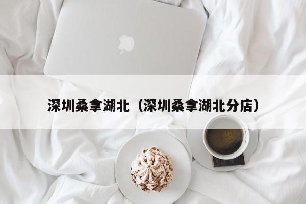深圳桑拿湖北（深圳桑拿湖北分店）